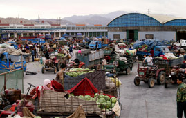 智慧農批解決方案